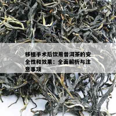 移植手术后饮用普洱茶的安全性和效果：全面解析与注意事项