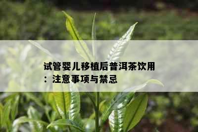 试管婴儿移植后普洱茶饮用：注意事项与禁忌