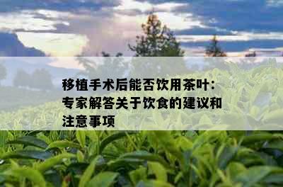 移植手术后能否饮用茶叶：专家解答关于饮食的建议和注意事项