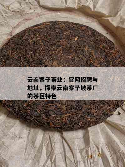 云南寨子茶业：官网招聘与地址，探索云南寨子坡茶厂的茶区特色