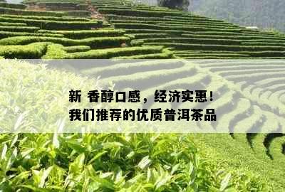 新 香醇口感，经济实惠！我们推荐的优质普洱茶品