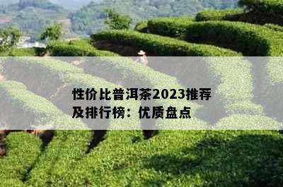 性价比普洱茶2023推荐及排行榜：优质盘点