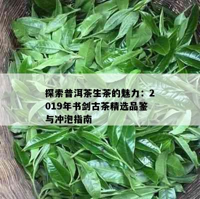 探索普洱茶生茶的魅力：2019年书剑古茶精选品鉴与冲泡指南