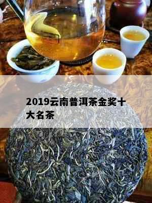 2019云南普洱茶金奖十大名茶