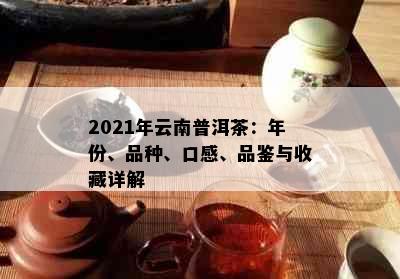 2021年云南普洱茶：年份、品种、口感、品鉴与收藏详解