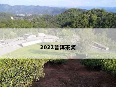 2022普洱茶奖