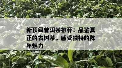 新顶级普洱茶推荐：品鉴真正的古树茶，感受独特的陈年魅力