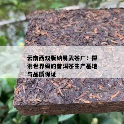 云南西双版纳易武茶厂：探索世界级的普洱茶生产基地与品质保证