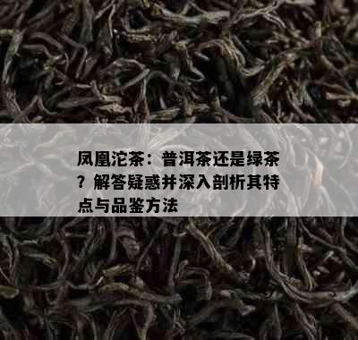 凤凰沱茶：普洱茶还是绿茶？解答疑惑并深入剖析其特点与品鉴方法