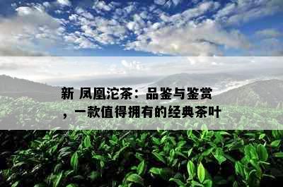 新 凤凰沱茶：品鉴与鉴赏，一款值得拥有的经典茶叶