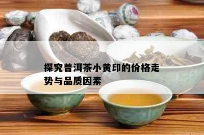 探究普洱茶小黄印的价格走势与品质因素