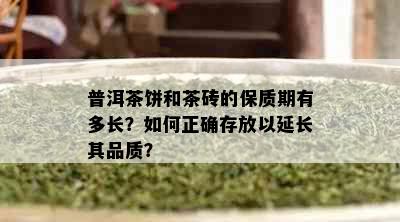 普洱茶饼和茶砖的保质期有多长？如何正确存放以延长其品质？