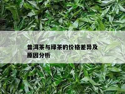 普洱茶与绿茶的价格差异及原因分析