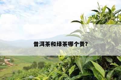 普洱茶和绿茶哪个贵？