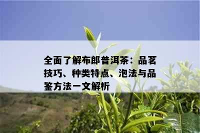 全面了解布郎普洱茶：品茗技巧、种类特点、泡法与品鉴方法一文解析