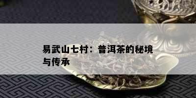 易武山七村：普洱茶的秘境与传承