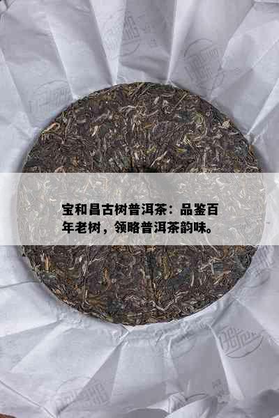 宝和昌古树普洱茶：品鉴百年老树，领略普洱茶韵味。