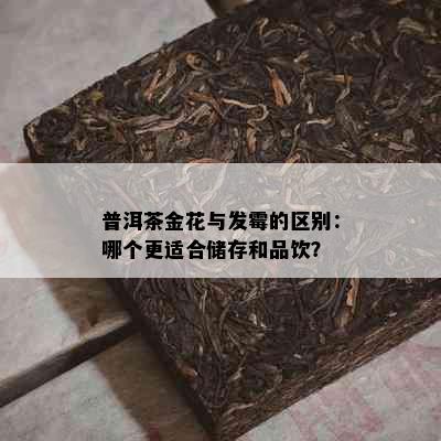 普洱茶金花与发霉的区别：哪个更适合储存和品饮？