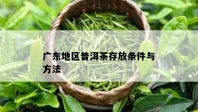 广东地区普洱茶存放条件与方法