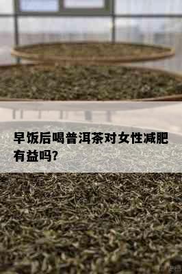 早饭后喝普洱茶对女性减肥有益吗？