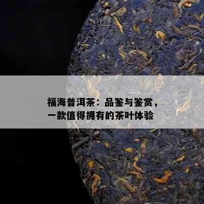 福海普洱茶：品鉴与鉴赏，一款值得拥有的茶叶体验