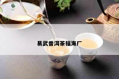 易武普洱茶福海厂