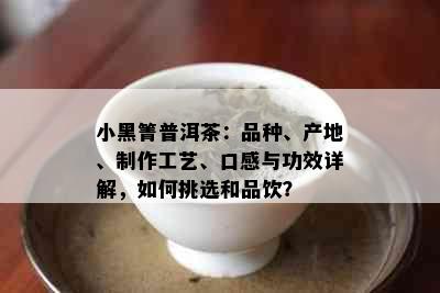 小黑箐普洱茶：品种、产地、制作工艺、口感与功效详解，如何挑选和品饮？