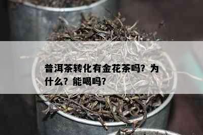 普洱茶转化有金花茶吗？为什么？能喝吗？