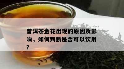 普洱茶金花出现的原因及影响，如何判断是否可以饮用？