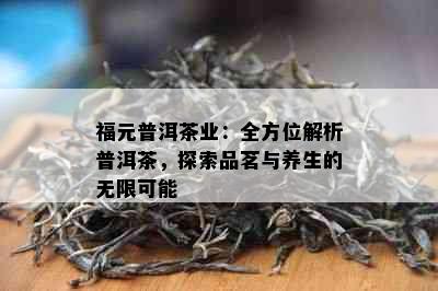 福元普洱茶业：全方位解析普洱茶，探索品茗与养生的无限可能