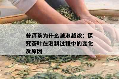 普洱茶为什么越泡越浓：探究茶叶在泡制过程中的变化及原因