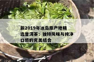 新2019年冰岛原产地精选普洱茶：独特风味与纯净口感的完美结合