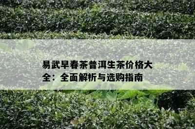 易武早春茶普洱生茶价格大全：全面解析与选购指南