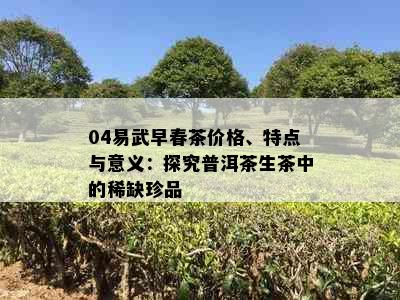 04易武早春茶价格、特点与意义：探究普洱茶生茶中的稀缺珍品