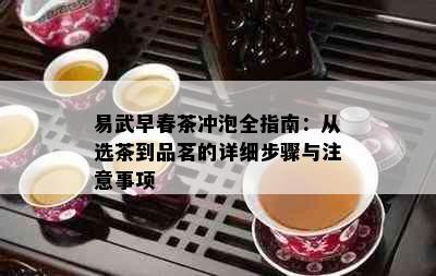 易武早春茶冲泡全指南：从选茶到品茗的详细步骤与注意事项