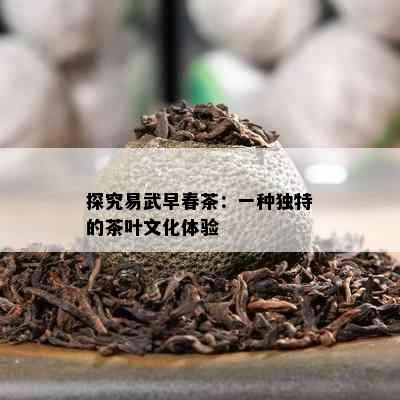 探究易武早春茶：一种独特的茶叶文化体验