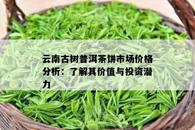 云南古树普洱茶饼市场价格分析：了解其价值与投资潜力