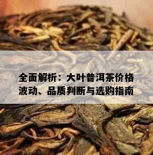 全面解析：大叶普洱茶价格波动、品质判断与选购指南