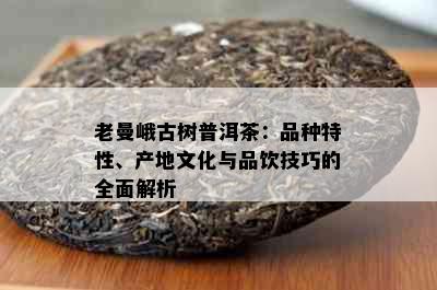 老曼峨古树普洱茶：品种特性、产地文化与品饮技巧的全面解析