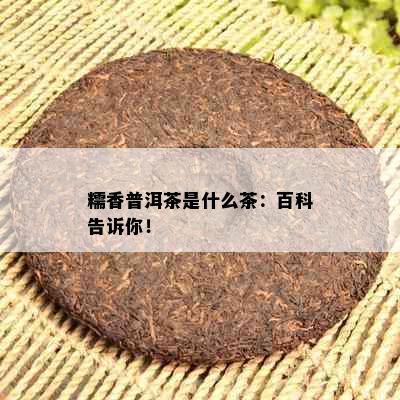 糯香普洱茶是什么茶：百科告诉你！