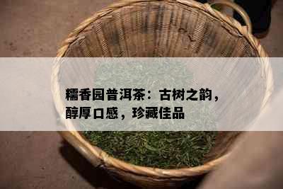 糯香园普洱茶：古树之韵，醇厚口感，珍藏佳品