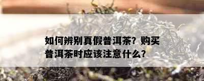 如何辨别真假普洱茶？购买普洱茶时应该注意什么？