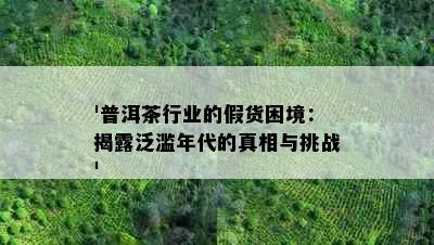 '普洱茶行业的假货困境：揭露泛滥年代的真相与挑战'