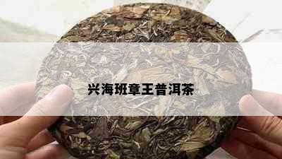 兴海班章王普洱茶