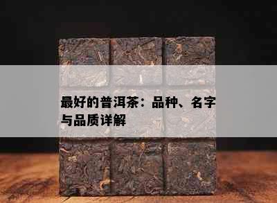 更好的普洱茶：品种、名字与品质详解