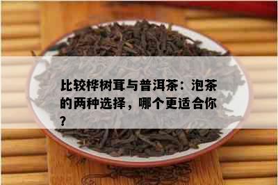 比较桦树茸与普洱茶：泡茶的两种选择，哪个更适合你？