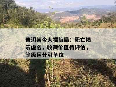 普洱茶今大福骗局：死亡揭示虚名，收藏价值待评估，等级区分引争议