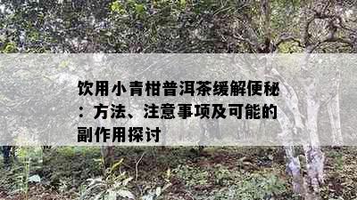 饮用小青柑普洱茶缓解便秘：方法、注意事项及可能的副作用探讨