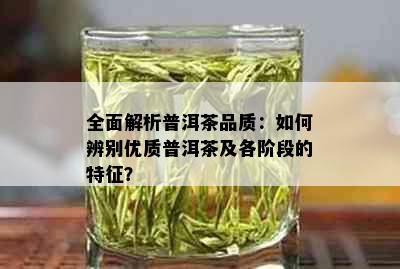 全面解析普洱茶品质：如何辨别优质普洱茶及各阶段的特征？