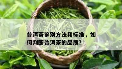 普洱茶鉴别方法和标准，如何判断普洱茶的品质？